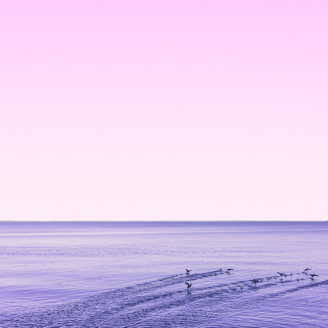 Candy-Colored Minimalism Photography-21