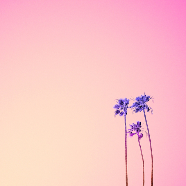 Candy-Colored Minimalism Photography-31