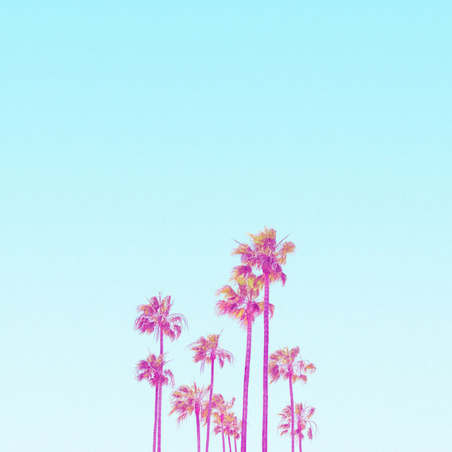 Candy-Colored Minimalism Photography-32
