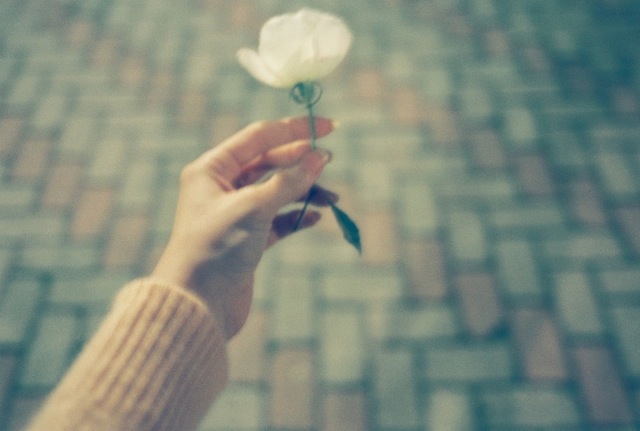 Delicate and Romantic Photography-2
