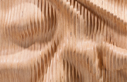 Fluid Wood Sculptures