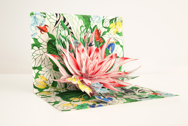 Hand-Crafted Pop-Up Books-6