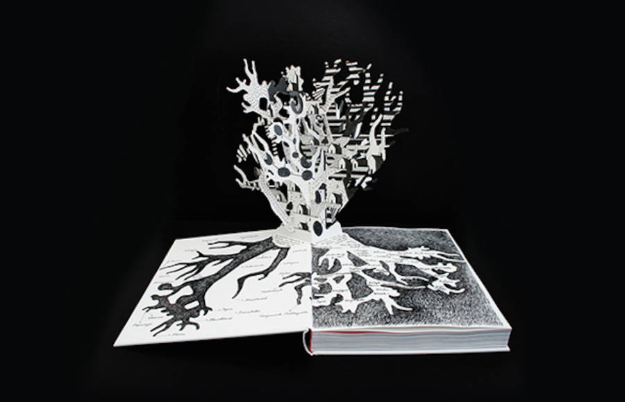 Het Zilte Westen Pop Up Book