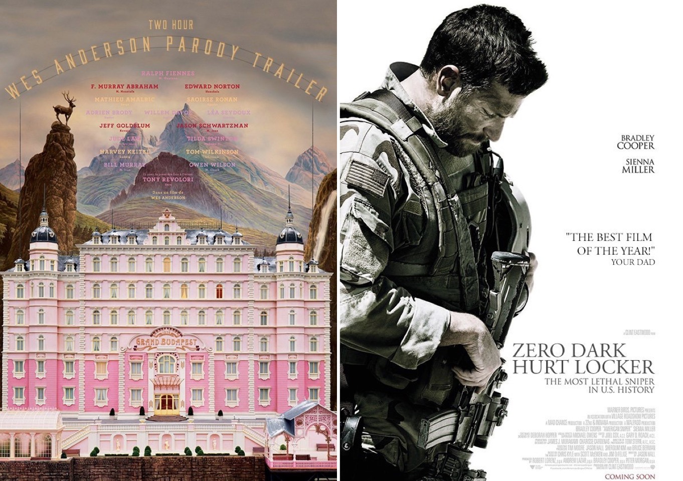Honest Titles for 2015 Oscars Nominees_0