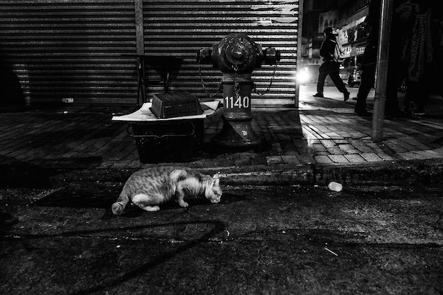 Hong Kong Black and White Photography-20