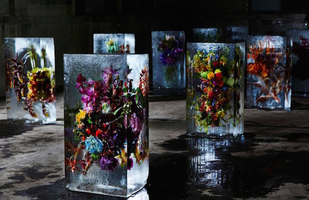 Iced Flowers Installations