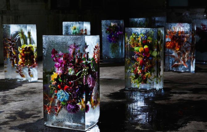 Iced Flowers Installations