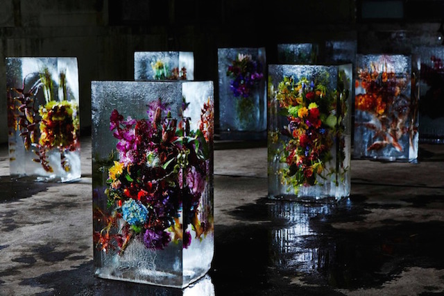 Iced Flowers Installations -1