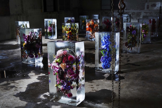 Iced Flowers Installations -10