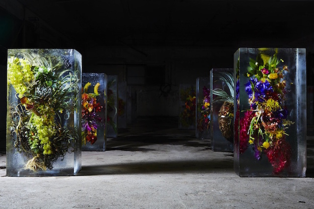 Iced Flowers Installations -1b