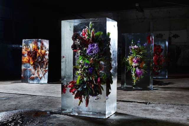 Iced Flowers Installations -8