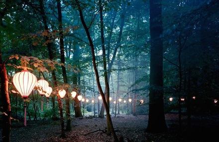 Lights in The Wood