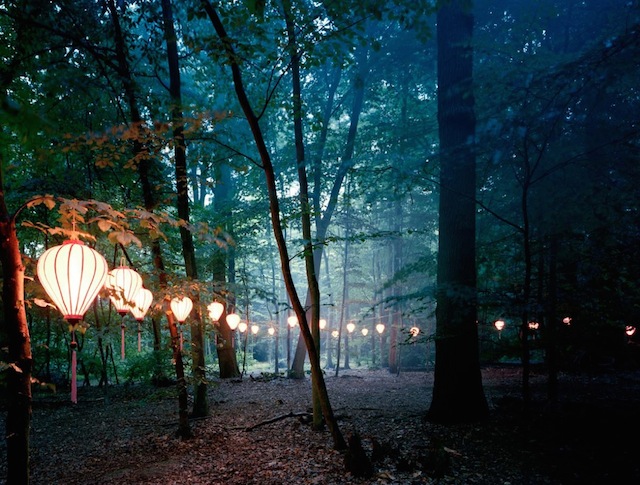 sø flertal gæld Lights in The Wood-2 – Fubiz Media