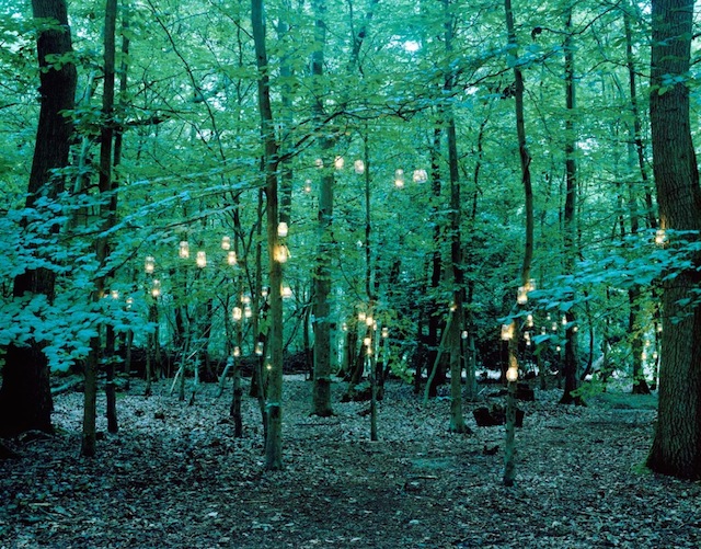Lights in The Wood-5