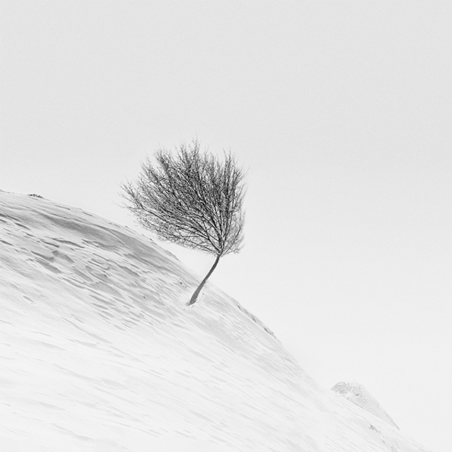 Minimal Snowscapes Photography-3