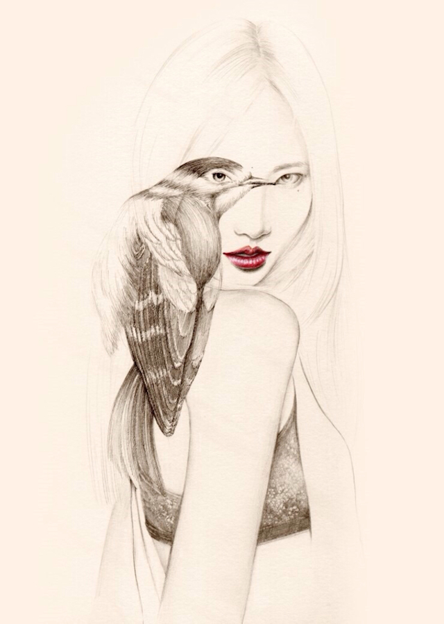 The Girl and The Birds Drawings-7