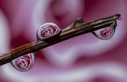 Water Drops Reflections