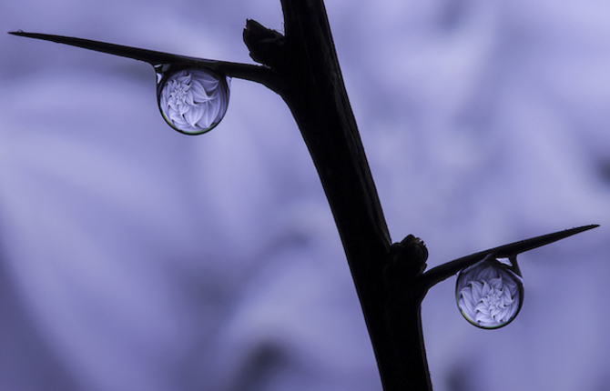 Water Drops Reflections