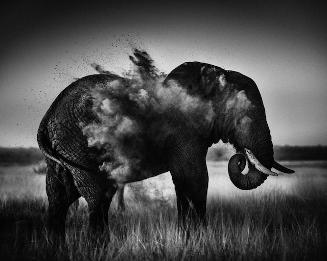 africa-laurentbaheux-0