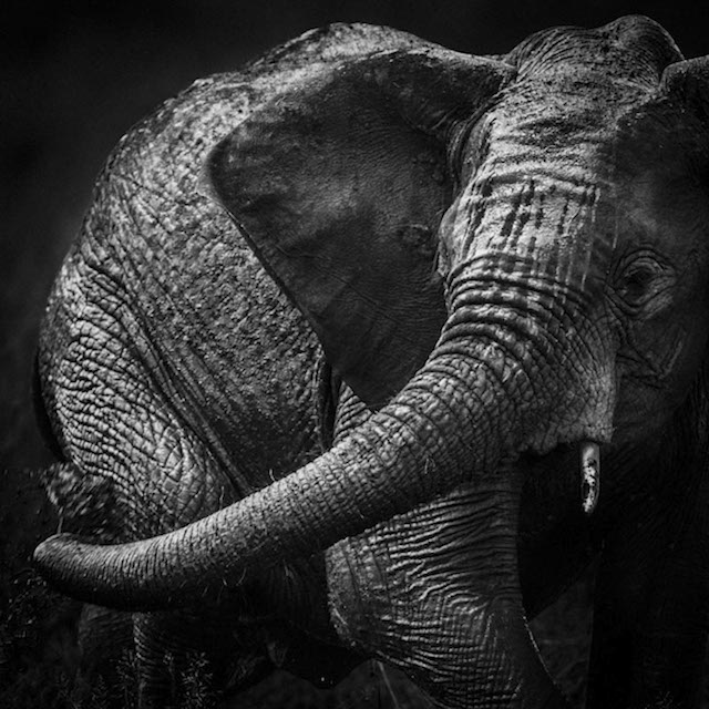 africa-laurentbaheux-10