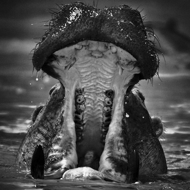 africa-laurentbaheux-14