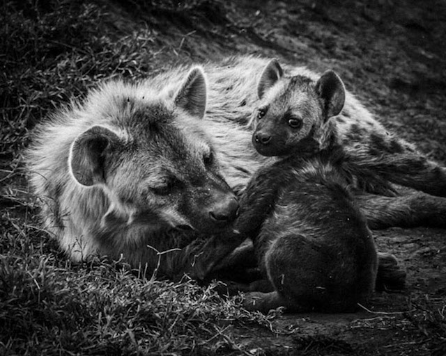 africa-laurentbaheux-16