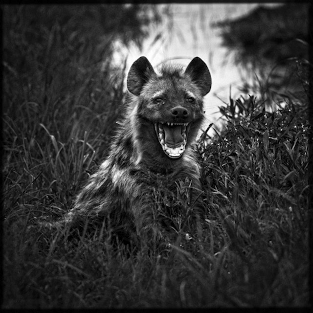 africa-laurentbaheux-17