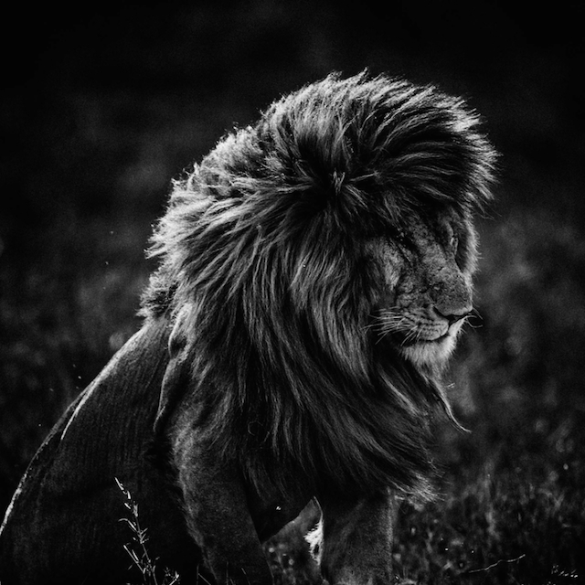 africa-laurentbaheux-30