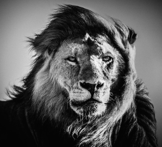 africa-laurentbaheux-31