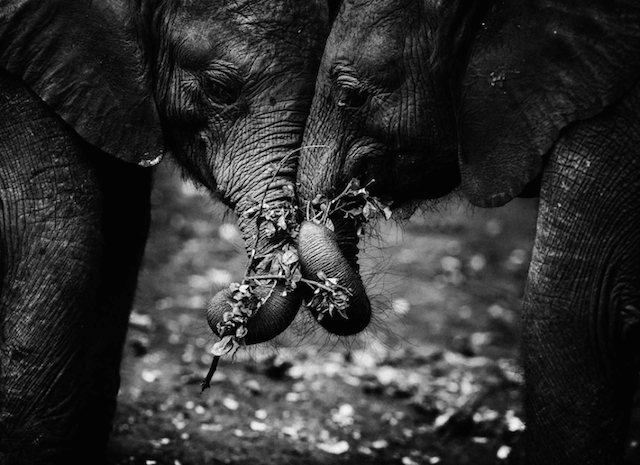 africa-laurentbaheux-34