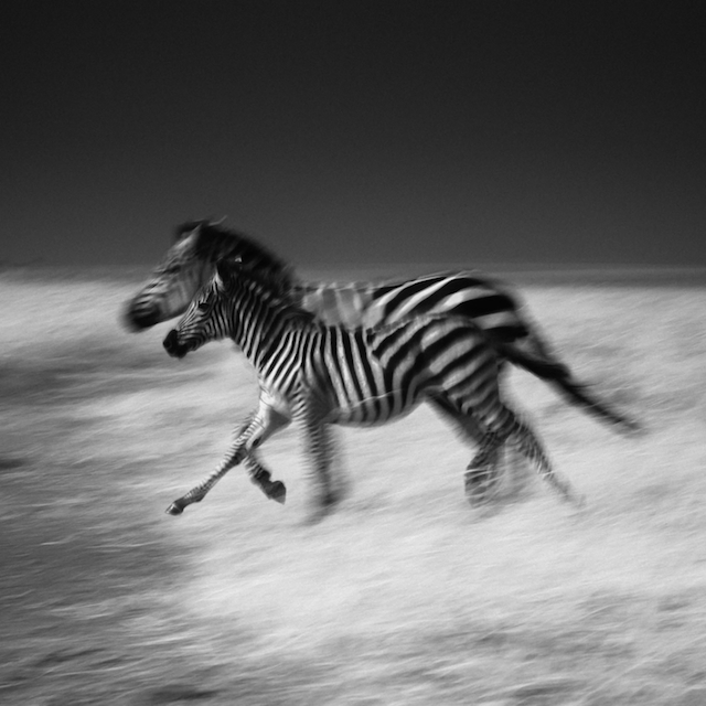 africa-laurentbaheux-35