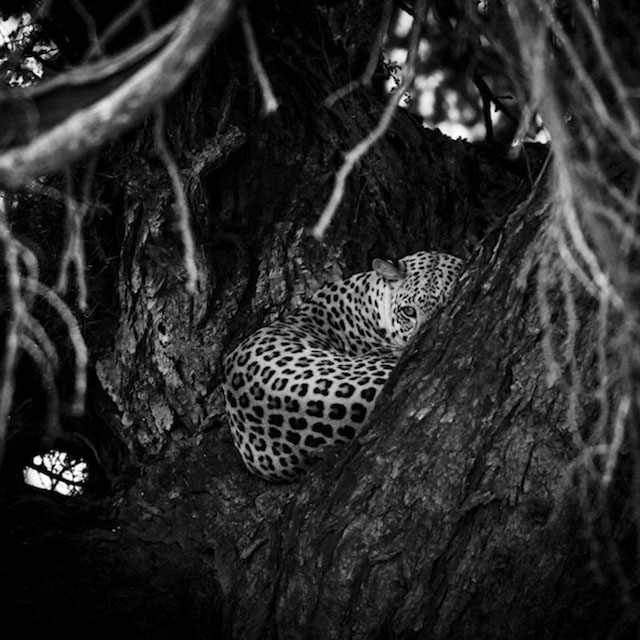 africa-laurentbaheux-39