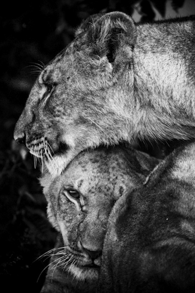 africa-laurentbaheux-40