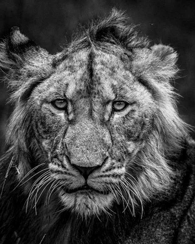 africa-laurentbaheux-41