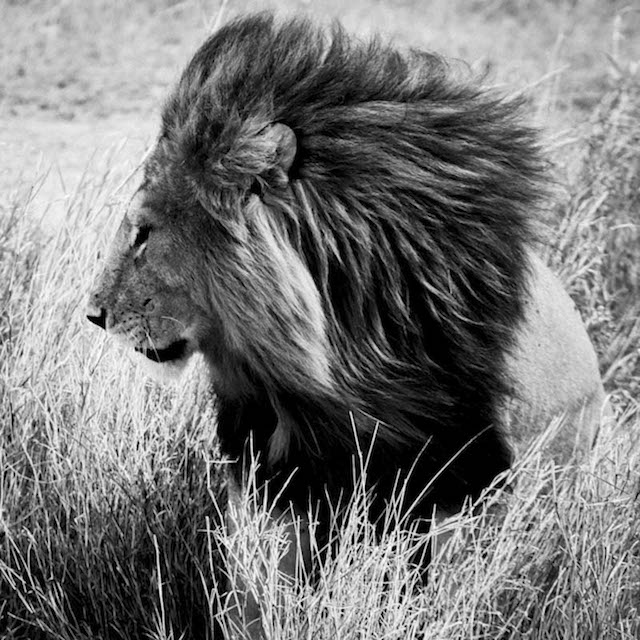 africa-laurentbaheux-42