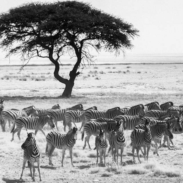 africa-laurentbaheux-45