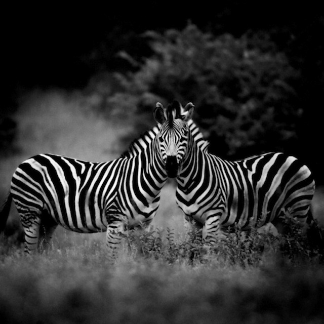 africa-laurentbaheux-46