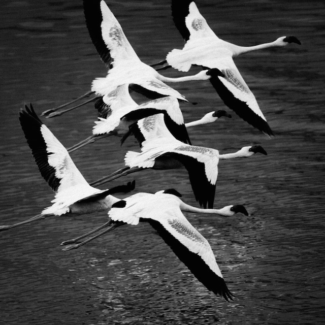 africa-laurentbaheux-5