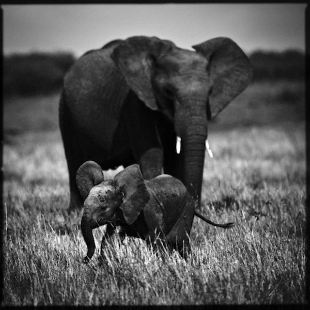 africa-laurentbaheux-6