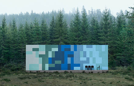 An BAUX adventure in the Forest