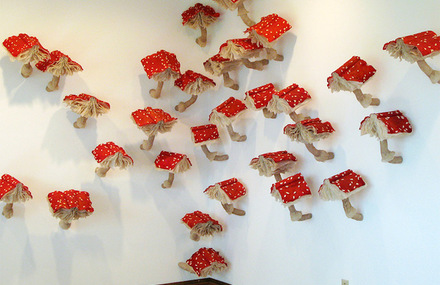 Mushrooms Books Installation