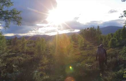 NORWAY – A WILDLIFE PHOTOGRAPHER’S JOURNEY