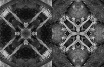 Black and White Kaleidoscopic Creatures