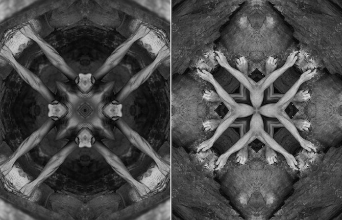 Black and White Kaleidoscopic Creatures