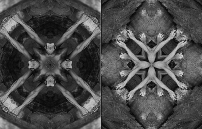 Black and White Kaleidoscopic Creatures