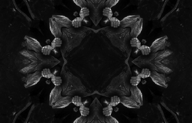 Black and White Kaleidoscopic Creatures