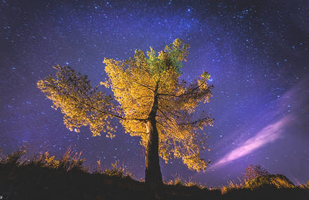 Nightcall Photography