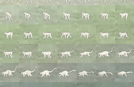 500 million years in a 30 meter long leporello