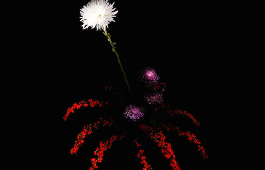 Flowers Fireworks