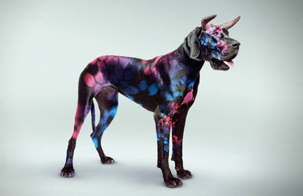 Neon Dogs